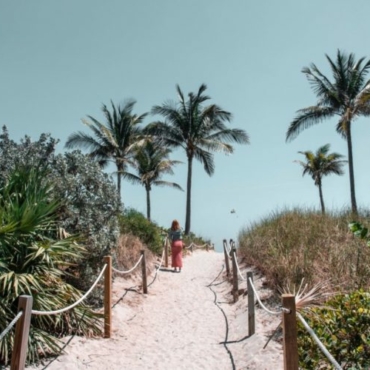 a sun-drenched sand path flanked by a rope fence heading towards palm trees