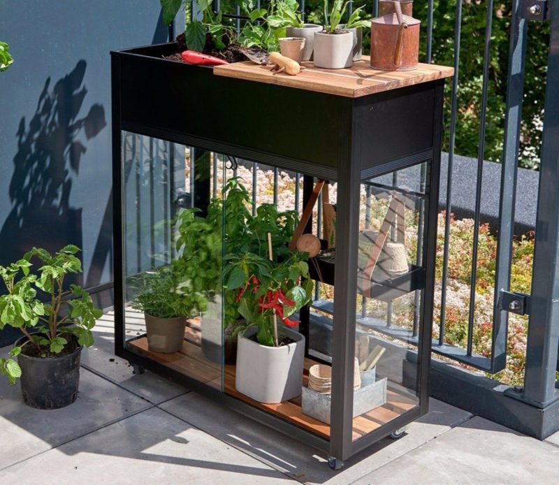 a balcony green house made from black metal and glass, with healthy plants inside