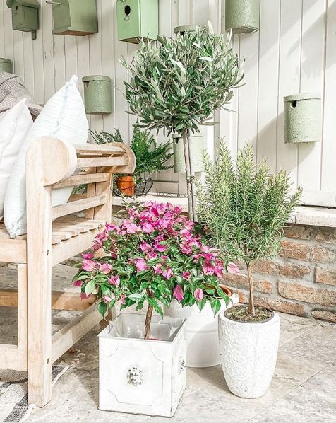 a corner of a patio in neutral tones with a pale wooden bench and small trees in white pots