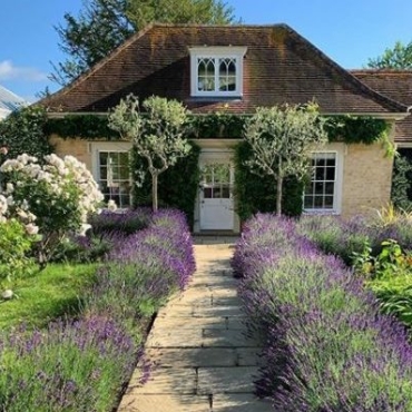 a very cute cottage with a stone path that has lavender shrubs along either side and two symmetrical bay trees flanking the front door