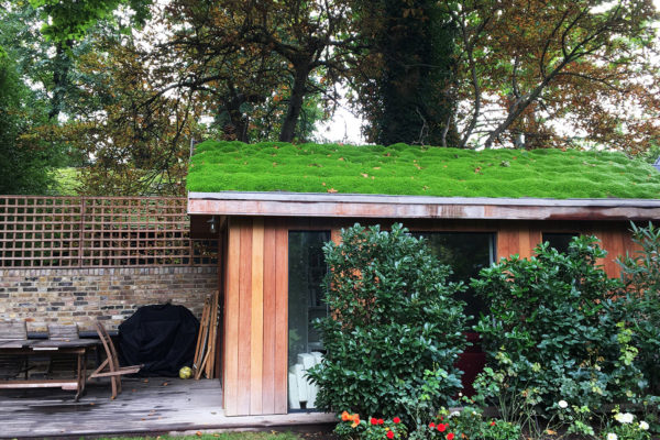 a modern shed with a green roof made from plants