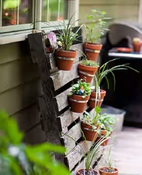 an untreated pallet with potted plants hanging from the slats