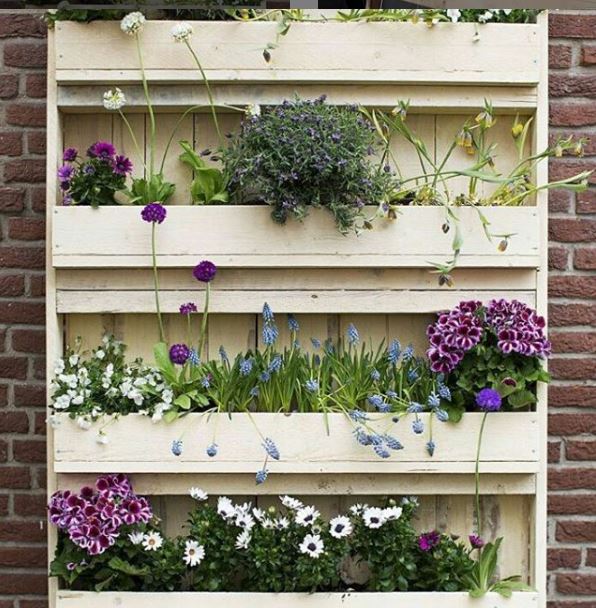a plant shelf made from a recycled wooden pallet