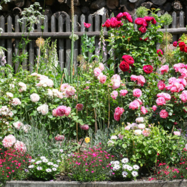 a crowded, cottage style flower bed