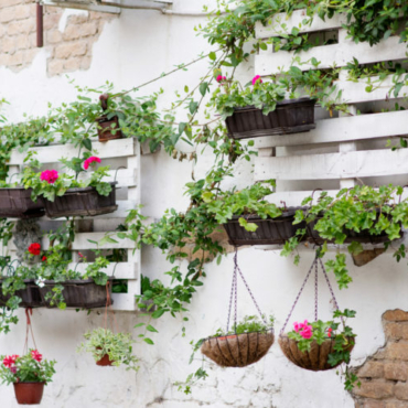 DIY garden pallet ideas using salvaged pallets on the wall as plant racks