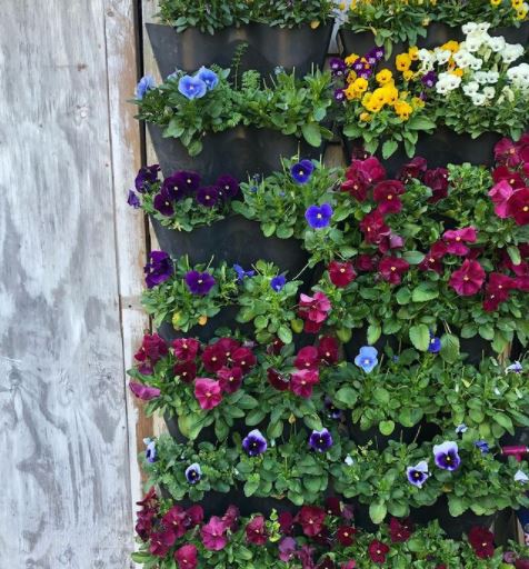 potted flowers on a wall-mounted frame to look like green wall ideas