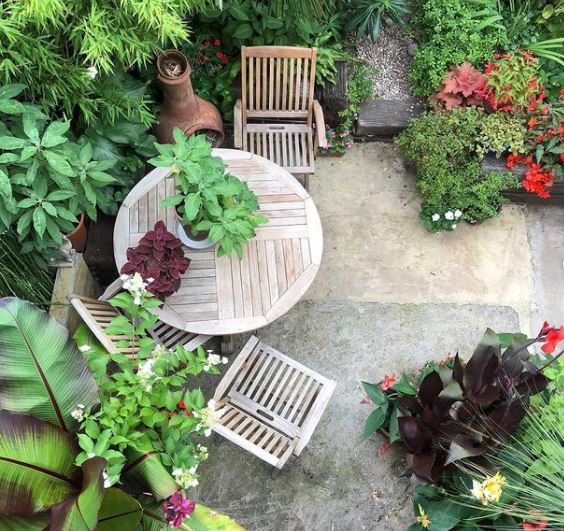 a wooden patio set surrounded by lots of lush green leafy plants