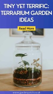 TINY YET TERRIFIC TERRARIUM GARDEN IDEAS-min