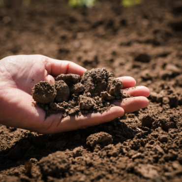 close-up of a hand holding earth - how to improve your garden soil