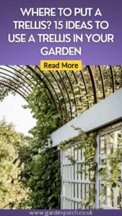 WHERE TO PUT A TRELLIS? 15 IDEAS TO USE A TRELLIS IN YOUR GARDEN