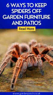 6 WAYS TO KEEP SPIDERS OFF GARDEN FURNITURE AND PATIOS-min