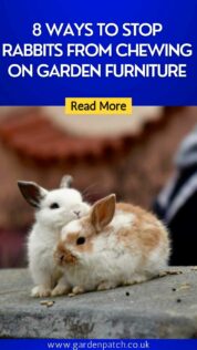 8 WAYS TO STOP RABBITS FROM CHEWING ON GARDEN FURNITURE-min