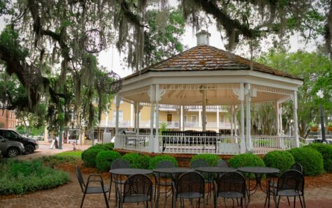 large gazebo for celebrations underneath a tree