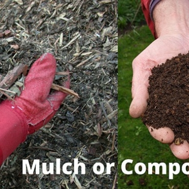 mulch vs compost