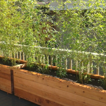 How to Build a Planter Box for Bamboo 3