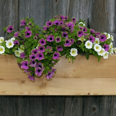 how to make a wall flower box