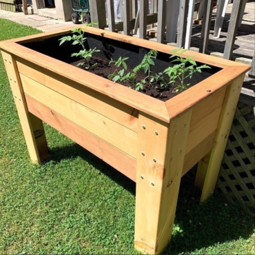 7 Types of Best Wood for a Planter Box 3