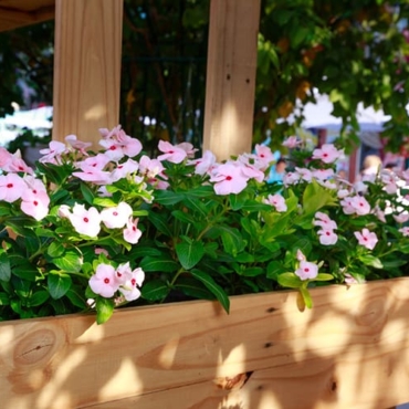 how to make a flower box
