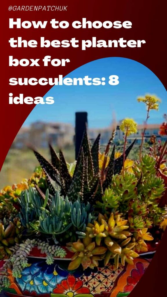 How to choose the best planter box for succulents 8 ideas-min