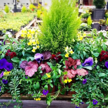 planter box drainage