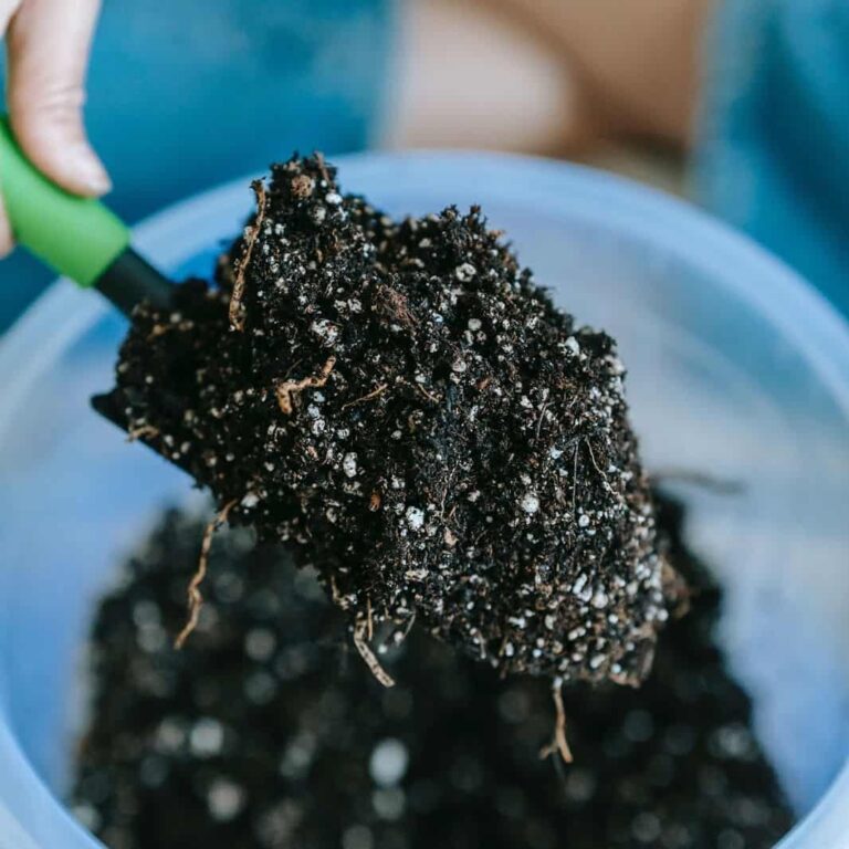 Preparing a Garden for Spring 17 Tips for a Lush Garden Garden Patch