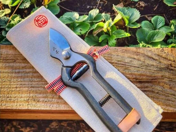 what to do in the garden in february