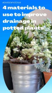 4 materials to use to improve drainage in potted plants-min