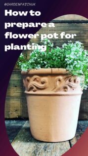 How to prepare a flower pot for planting