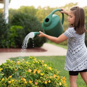 how often to water garden in spring time