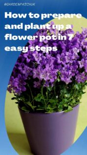 How to prepare and plant up a flower pot in 7 easy steps-min