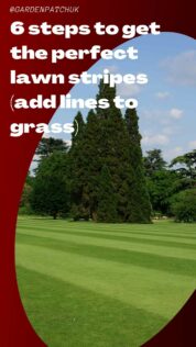 6 steps to get the perfect lawn stripes (add lines to grass)-min