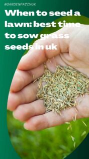 When to seed a lawn best time to sow grass seeds in uk