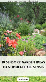 10 SENSORY GARDEN IDEAS TO STIMULATE ALL SENSES-min