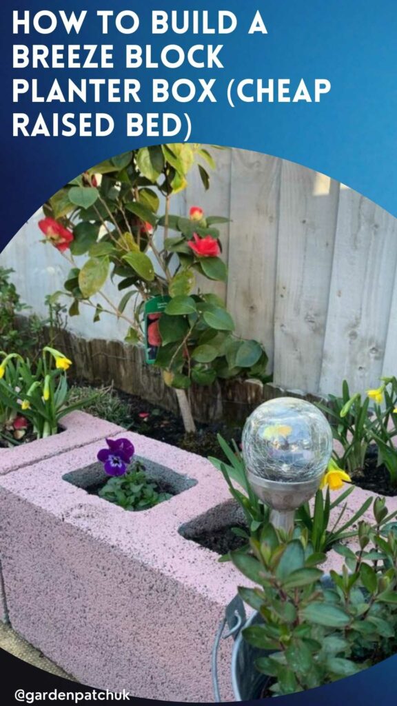 HOW TO BUILD A BREEZE BLOCK PLANTER BOX (CHEAP RAISED BED)-min