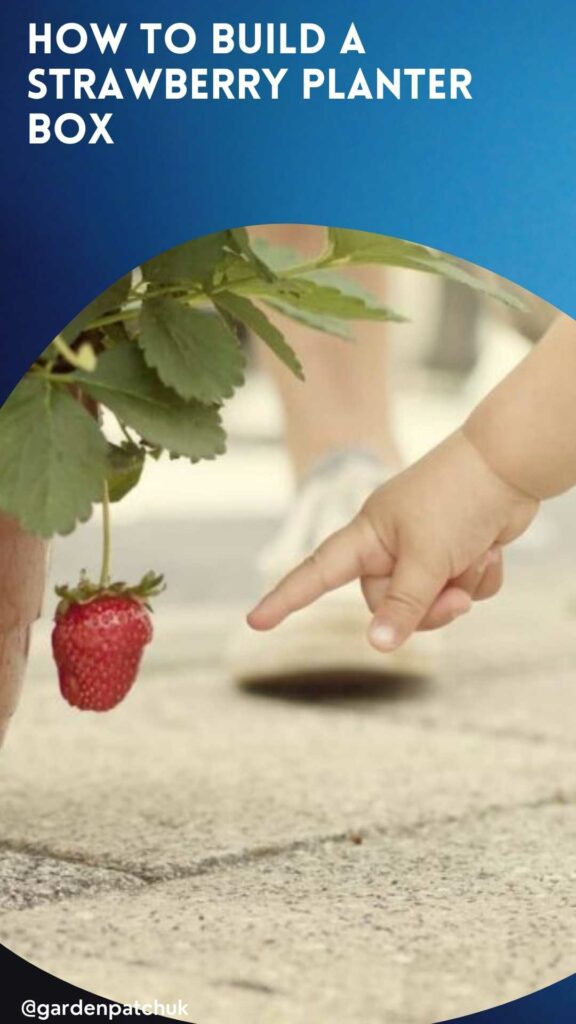 HOW TO BUILD A STRAWBERRY PLANTER BOX-min