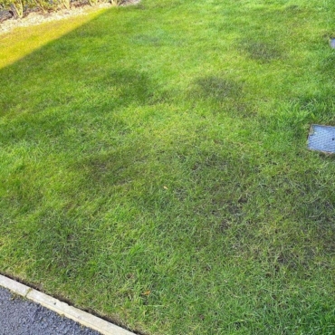 areas of iron damage on a lawn
