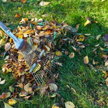 Autumn Lawn Care: 9 Grass Treatments in the Correct Order 5