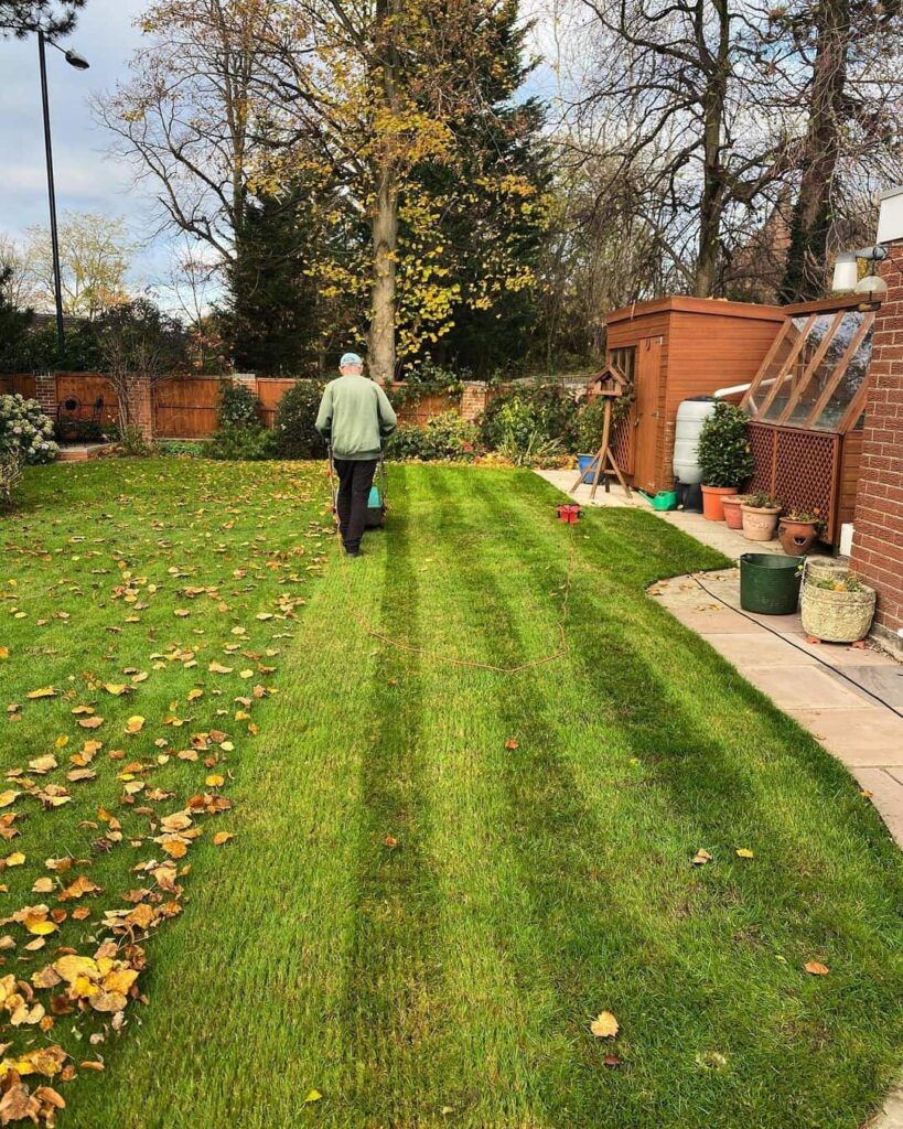 Top Dressing Lawn In Autumn At Phyllis Fetter Blog Top Dressing Lawn In Autumn At Phyllis Fetter Blog
