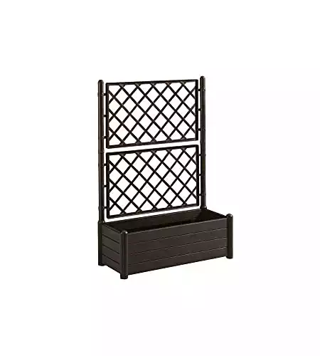 HERSTERA Plastic Planter With Trellis