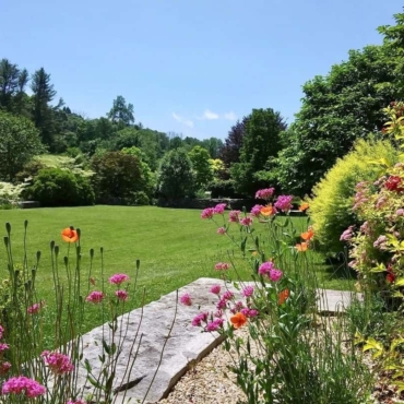 mowing the lawn at the right time