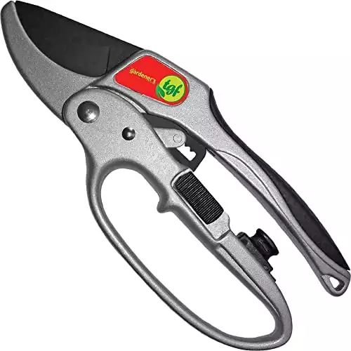 Secateurs, Ratchet Anvil Style Shears, Made For Weak Hands But Strong Enough For Any Pruning Application