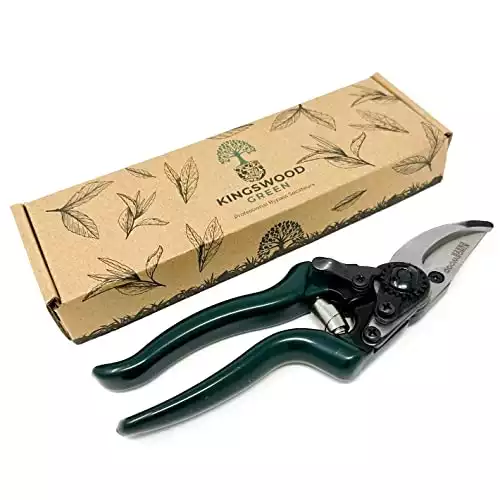 Kingswood Green Professional Bypass Secateurs