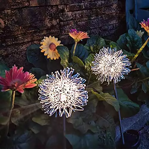Buywin Dandelion Solar Stake Lights