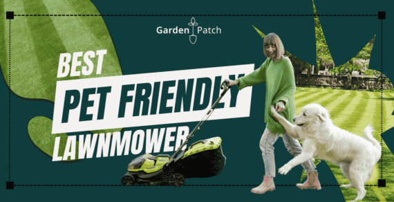 Top-rated Lawn Mowers for Pet Owners UK 1