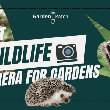 best wildlife camera for gardens