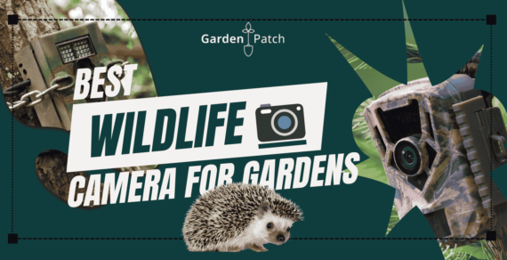 best wildlife camera for gardens