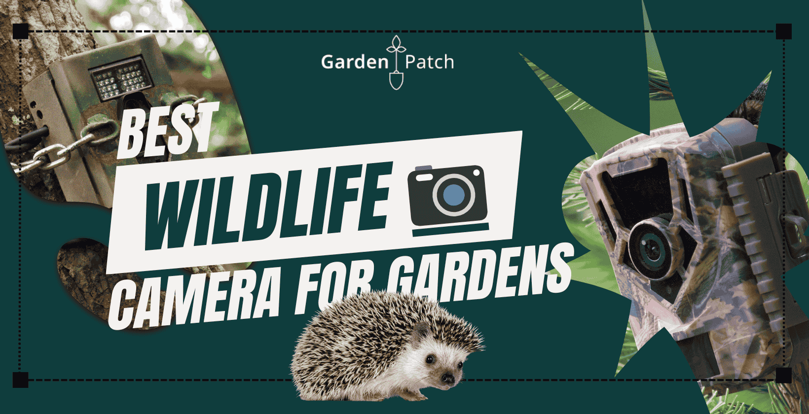 Best Wireless Wildlife Cameras UK to Protect Your Garden 1 best wildlife camera for gardens