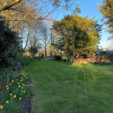 Lawn Care in March: Can You Mow, Feed or Scarify? (Where to Start)