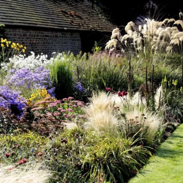 What to Do in the Garden in September: 18 Gardening Jobs to Do Now